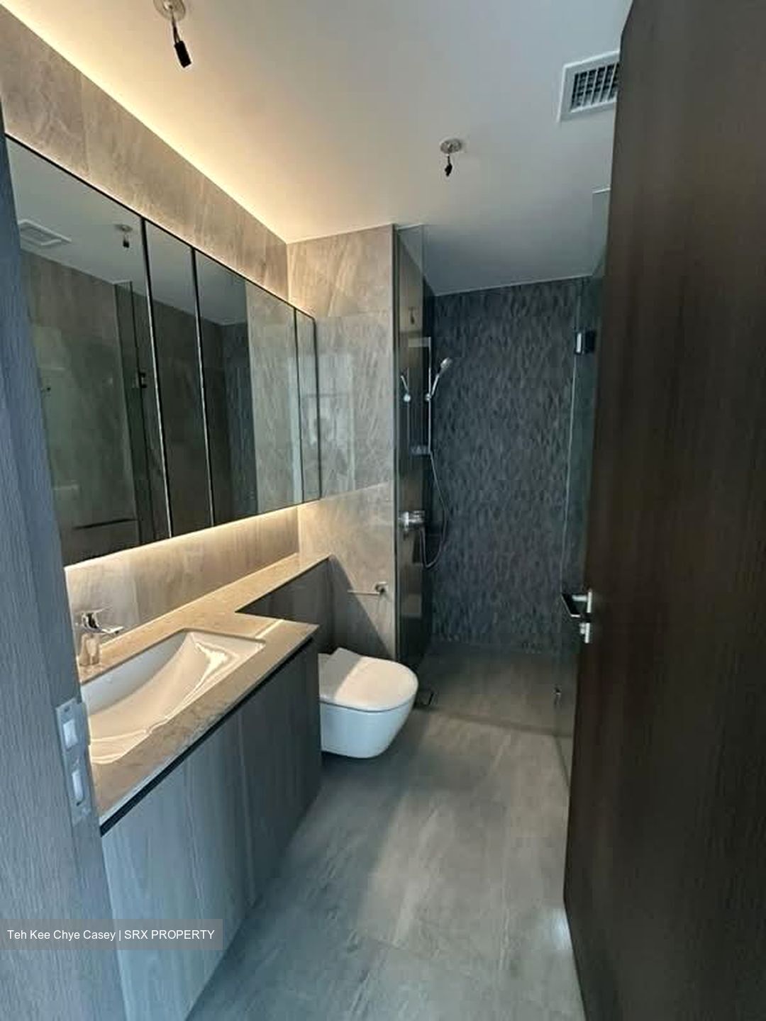 Piccadilly Grand (D8), Apartment #547030191